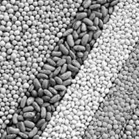 Stainless-Tank-&-Mix-Home-Services-Food