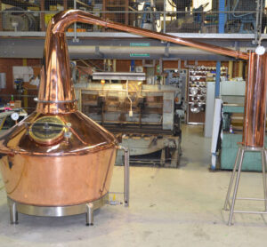 Read more about the article Fruit of Our Labours